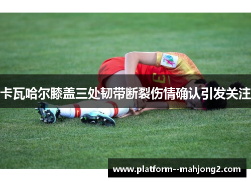 卡瓦哈尔膝盖三处韧带断裂伤情确认引发关注 卡瓦哈尔膝盖三处韧带断裂伤情确认引发关注