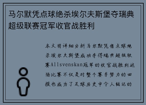 马尔默凭点球绝杀埃尔夫斯堡夺瑞典超级联赛冠军收官战胜利